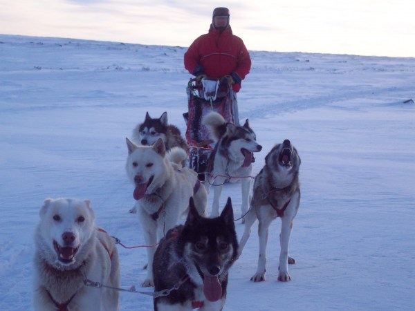 med_Schweden01.JPG (600 x 450)